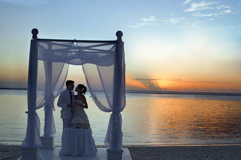Outdoor Wedding Area